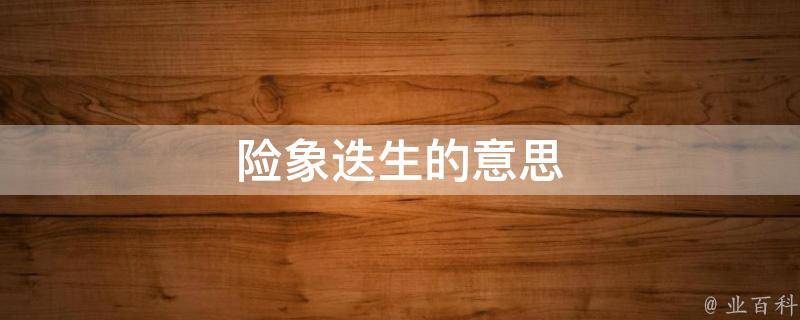 险象迭生的意思(详解解释)