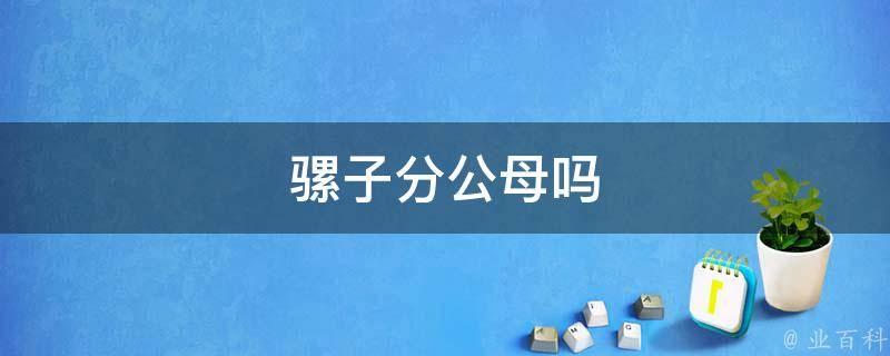 骡子分公母吗(骡子是由公马和母驴交配而成吗)