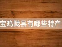 宝鸡陇县特产(美食推荐及购买攻略)