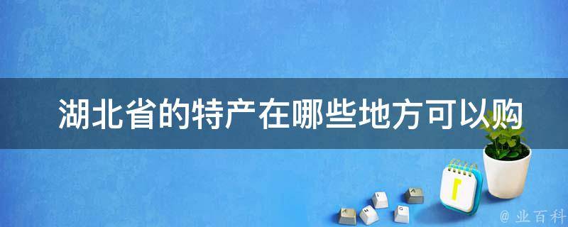  湖北省的特产在哪些地方可以购买到？