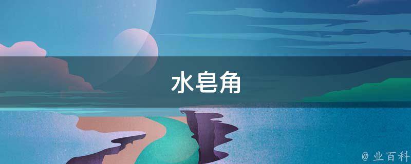 水皂角(清洁神器的秘密**)