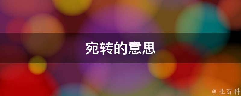 宛转的意思(含**析)