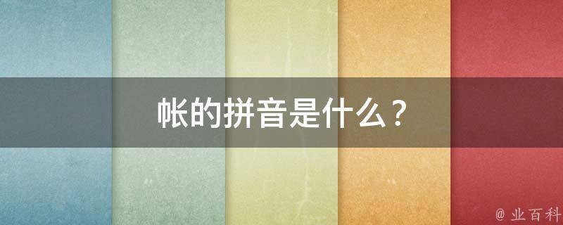 帐的拼音是什么？
