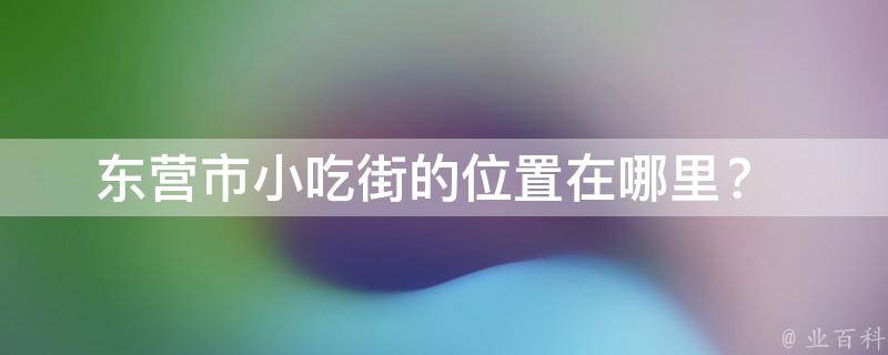 东营市小吃街的位置在哪里？ 