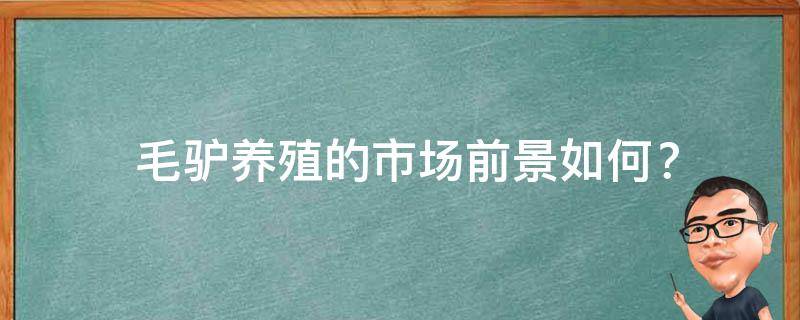  毛驴养殖的市场前景如何？