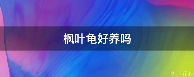 枫叶龟好养吗(适合初养者的宠物龟推荐)