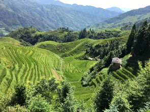  桂林阳朔旅游的最佳时间是什么时候？