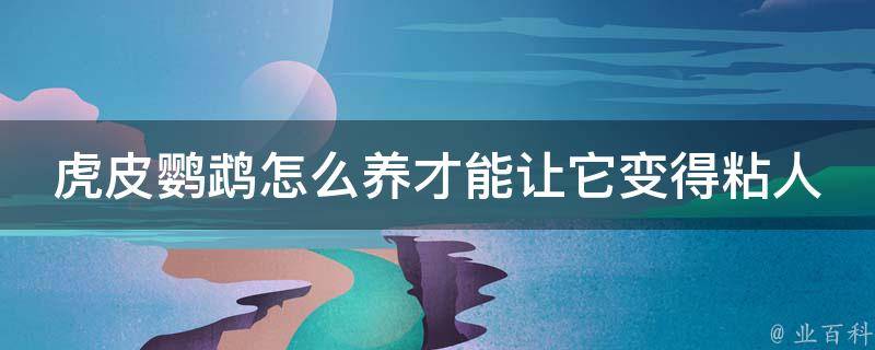 虎皮鹦鹉怎么养才能让它变得粘人？