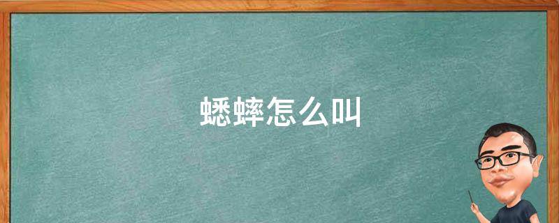 蟋蟀怎么叫(引起注意的技巧和方法)