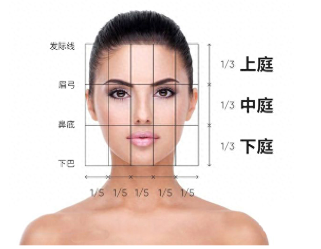 五官指的是什么(人体解剖学中五官的定义和作用)