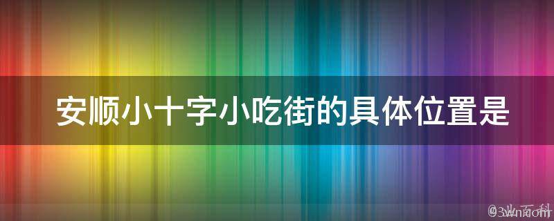  安顺小十字小吃街的具**置是在哪里？