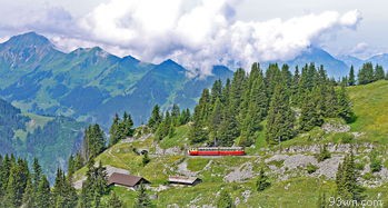 贵州旅游攻略(3天贵州游玩指南)