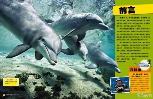 青岛极地海洋世界攻略怎么样？