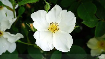  去一趟西安玩需要花费多少钱？