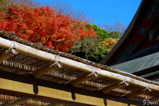 西安旅游攻略(3天玩遍西安必备行程)