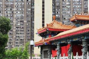  庙的定义是什么？