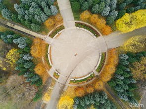 东莞虎英公园是什么？