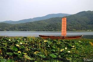  怎样从上海到普陀山最快？