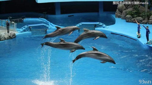  极地海洋世界的具**置在哪里？