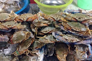 哪里可以找到三亚的海景房？
