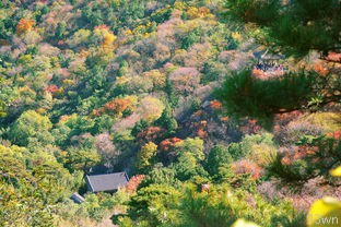 北京山庄景点？