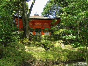 安徽合肥景点一日游(合肥旅游攻略推荐)