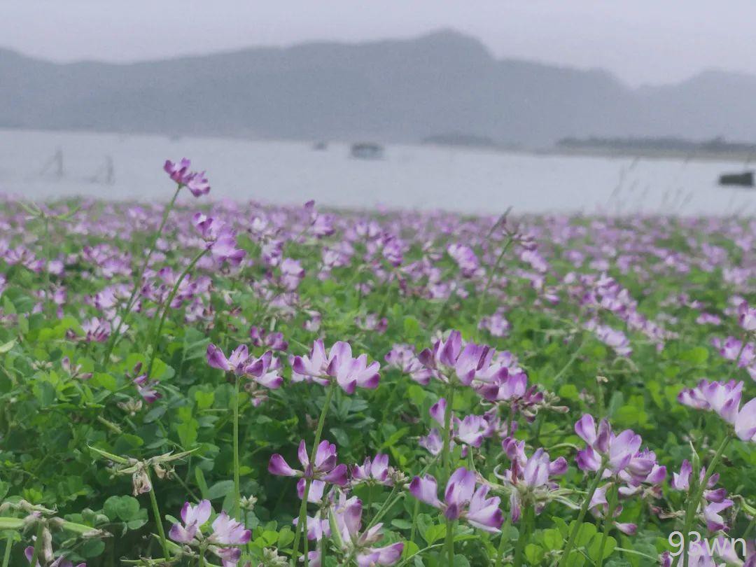 桂林十大必玩景点