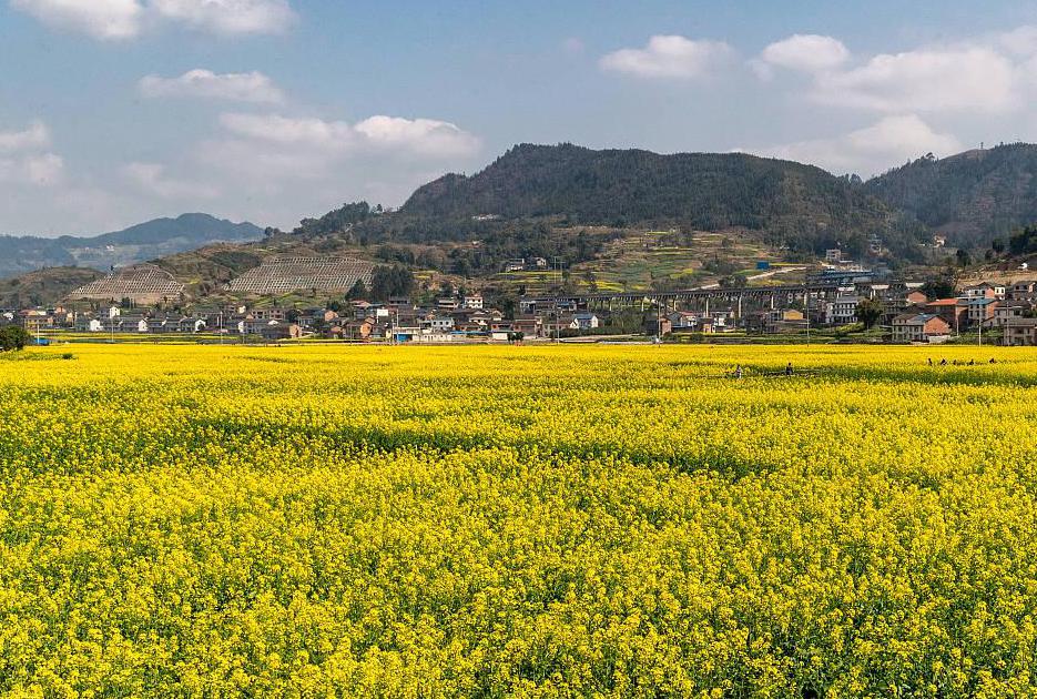 南川景点