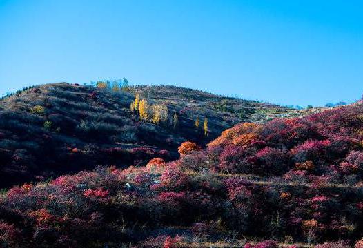 九如山门票