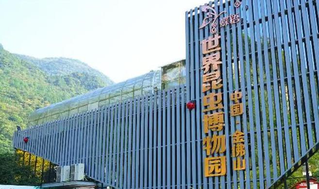 重庆到金佛山