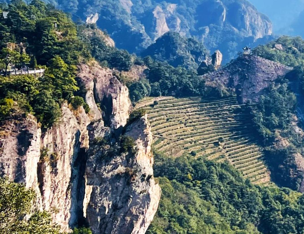 雁荡山门票