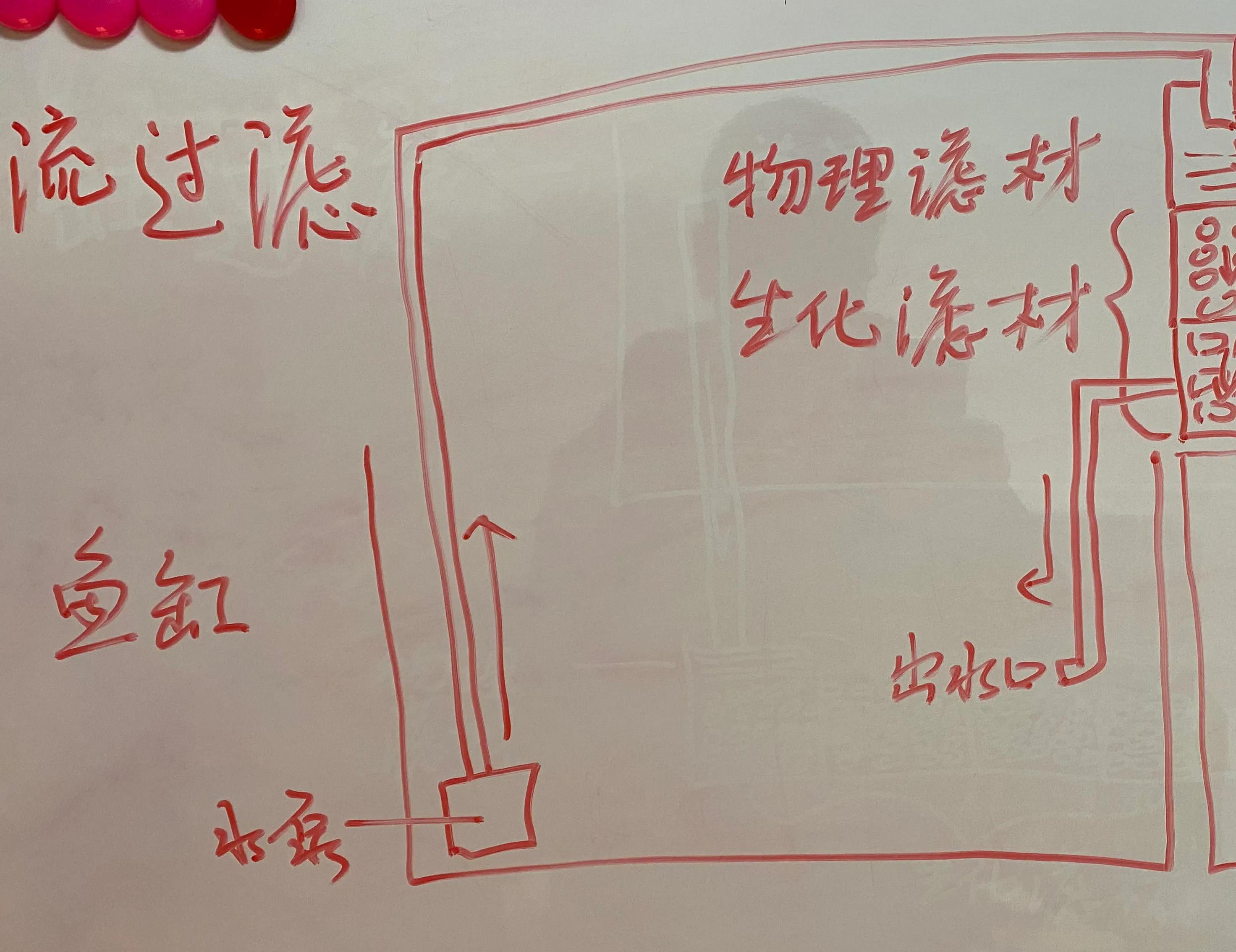 细菌屋有用吗