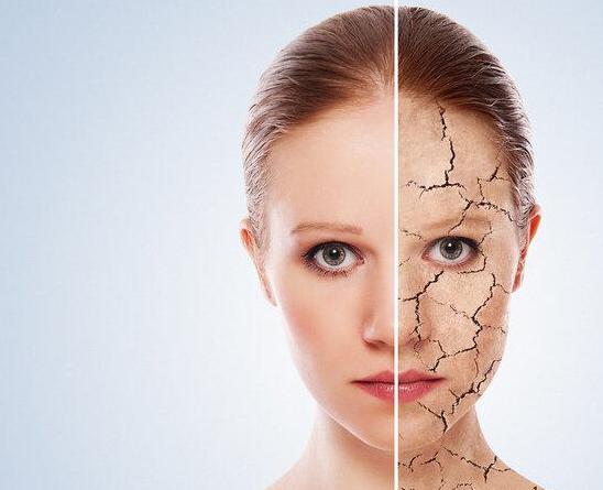 女人可以长期吃蜂王浆