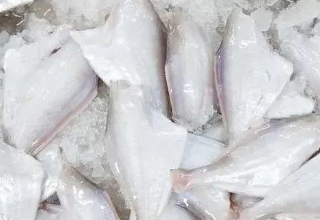 大耗儿鱼的营养价值