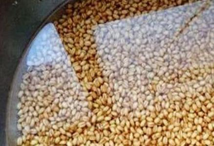 钓鱼泡小麦用什么泡比较好