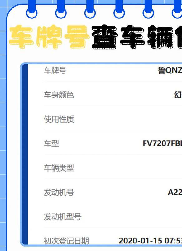 输入车牌号查车辆信息